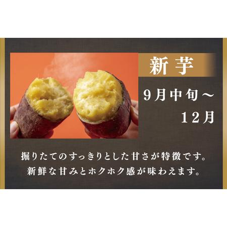 ふるさと納税 CU-167 無選別 行方台地のさつまいも 紅はるか15kg 茨城県行方市