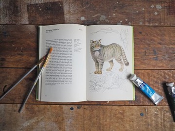 哺乳類動物圖鑑