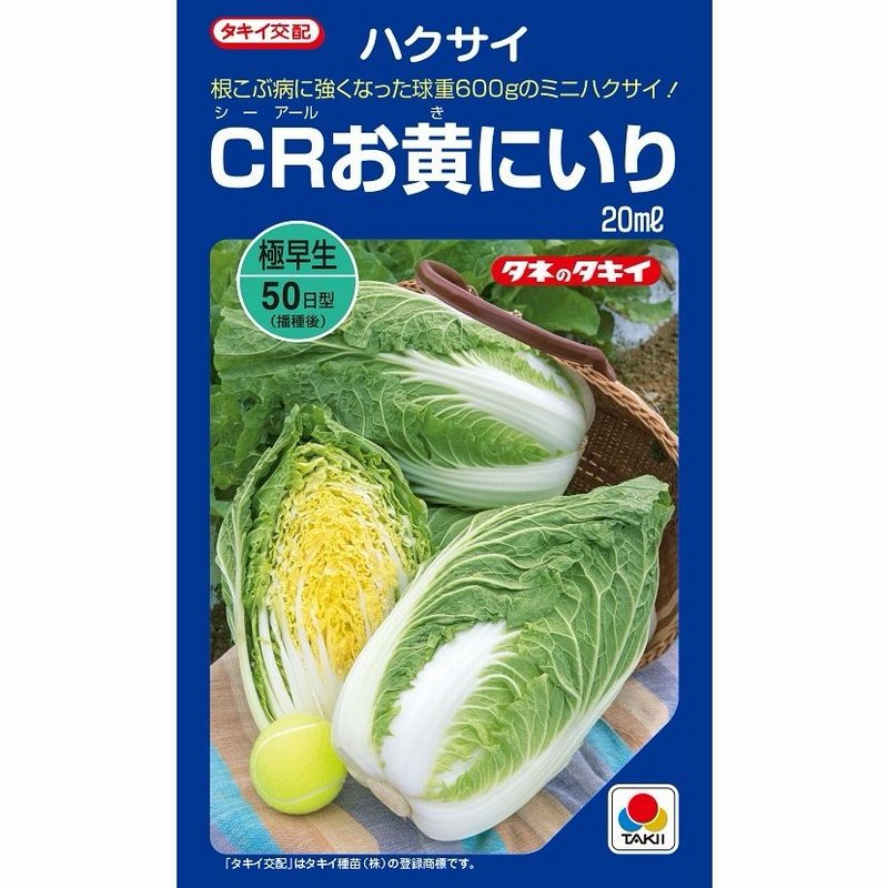最大85％オフ！ 白菜 黄ごころ75 20ｍｌタキイ交配
