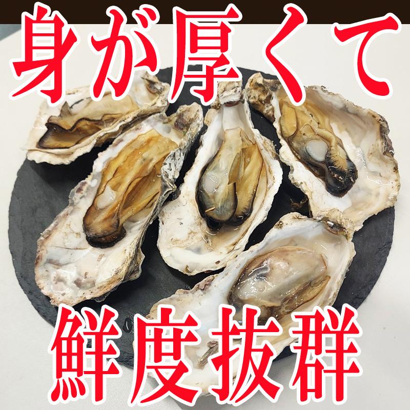 牡蠣 瞬間冷凍 レンジでチン 国産 宮城県産 900g 15〜21個入り  (300g×3パック) 冷凍 お取り寄せ 送料無料 殻付き [加熱用生牡蠣3袋 宮城県産] ship-sd