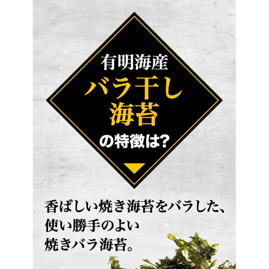 海苔 送料無料 有明海産 バラ干し海苔 2袋セット 10g入 x2袋 のり 訳あり メール便