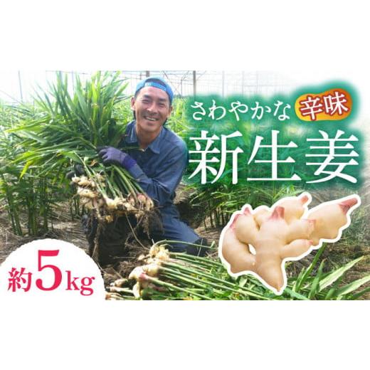 ふるさと納税 長崎県 南島原市 先行予約！新生姜 約5kg ／ ショウガ しょうが 生姜 ／ 南島原市 ／ ふくはちファーム／福島農園 [SBS019]