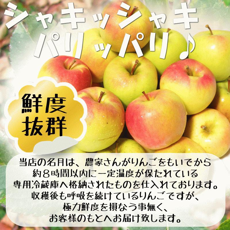 クーポンで200円引き！あすつく 青森 りんご 3kg箱 ぐんま名月 送料無料 家庭用 訳あり 青森 リンゴ 訳あり 3キロ箱★名月 家訳 3kg箱