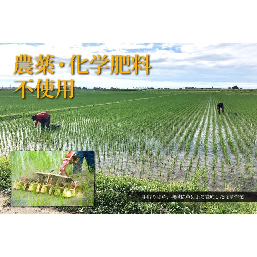 おやじの米 玄米 パックご飯 (120g×18個) 山形県鶴岡産 JAS有機栽培米コシヒカリ