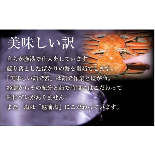 ふるさと納税 福井県 あわら市 日本海産！寿司屋のせいこがにの甲羅盛り 3個（1個 約70g前後） ／  殻むき不要 ずわいがに 濃厚 蟹 甲羅酒 焼き蟹 ほぐし身 ポ…