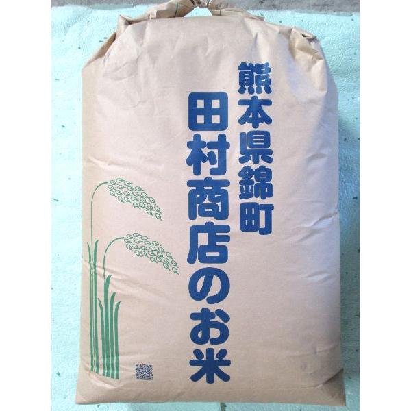 5年産熊本県産米　くまさんの力玄米30kg 精米無料