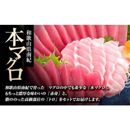 ふるさと納税 プレミア和歌山認証品 本マグロ（養殖）トロ＆赤身セット　500g 和歌山県上富田町