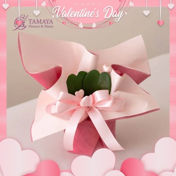給我心愛的你【玉屋 TAMAYA】心型毬蘭 - 愛戀情人限定款 客製卡片 情人節快樂 情人節花禮 情人獻禮 520 傳遞情意 我的理想情人 永恆的愛 幸福浪漫