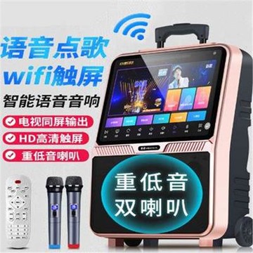 德國柏林之聲音效音響帶顯示屏幕大屏拉桿戶外演出無線話筒跳舞k