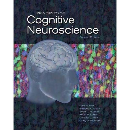 Principles of Cognitive Neuroscience