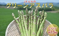 北海道 富良野市産 グリーン アスパラ Lサイズ 約1.5kg 秀品 150g×10束 (JAふらの)