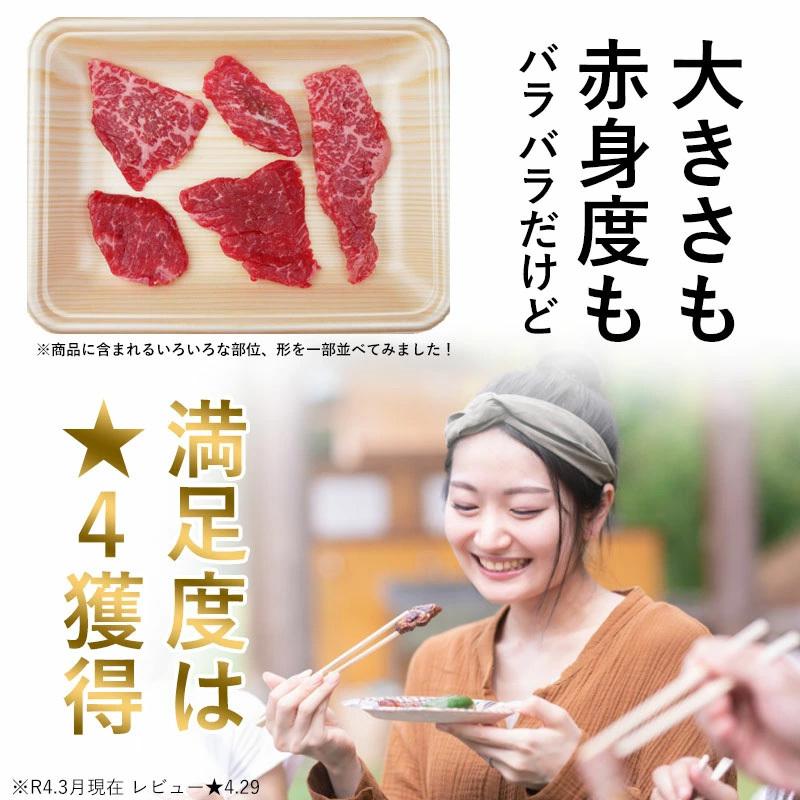 訳あり 肉 焼肉 牛肉 焼き肉 切り落とし 飛騨牛 もも肉 一口  200g 黒毛和牛 バーベキュー 赤身 お取り寄せグルメ