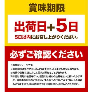 ふるさと納税 ぶどう [2024年先行予約] シャインマスカット 晴王 1房 500g 岡山県産《9月上旬-11月中旬頃出荷(土日祝除く)》 ハレノフルーツ マ.. 岡山県浅口市