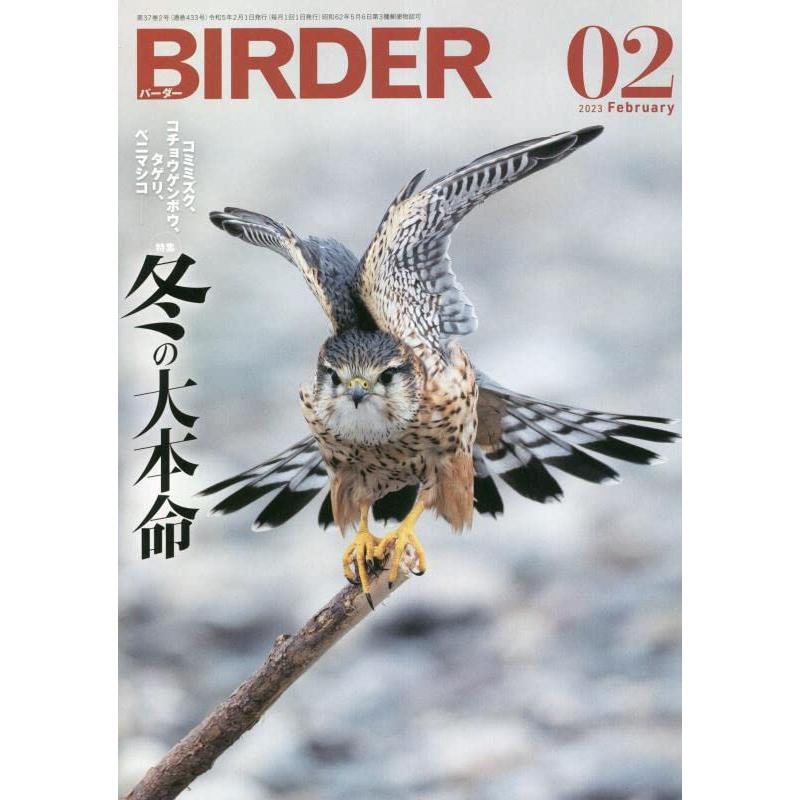 BIRDER 2023年 月号