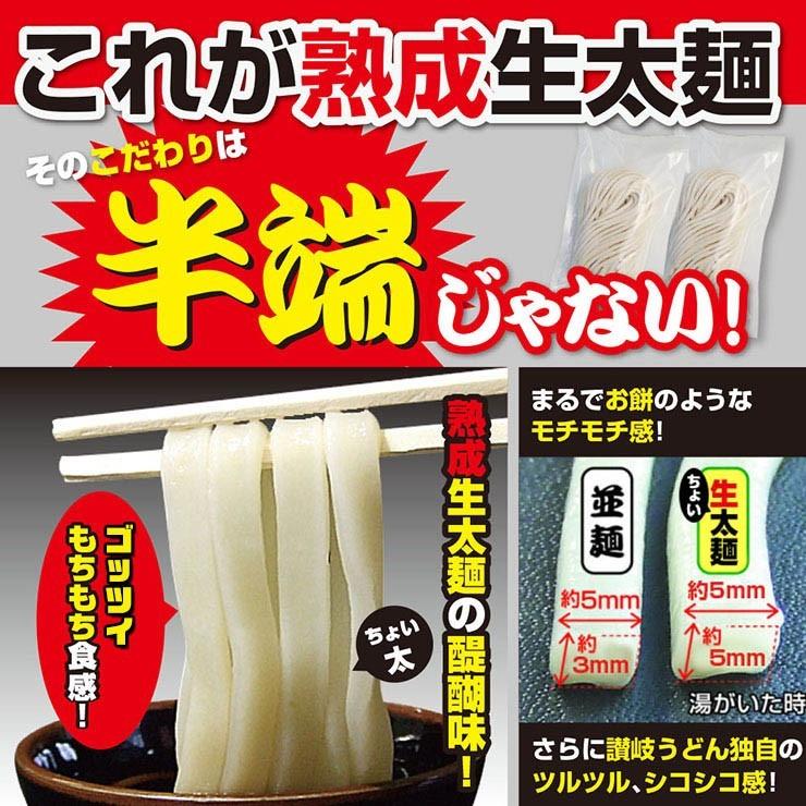 激ウマ 熟成 ちょい 生太 讃岐 うどん ドーンと 6食 便利な個包装 300g×2袋 600g 送料無料 最安値 挑戦