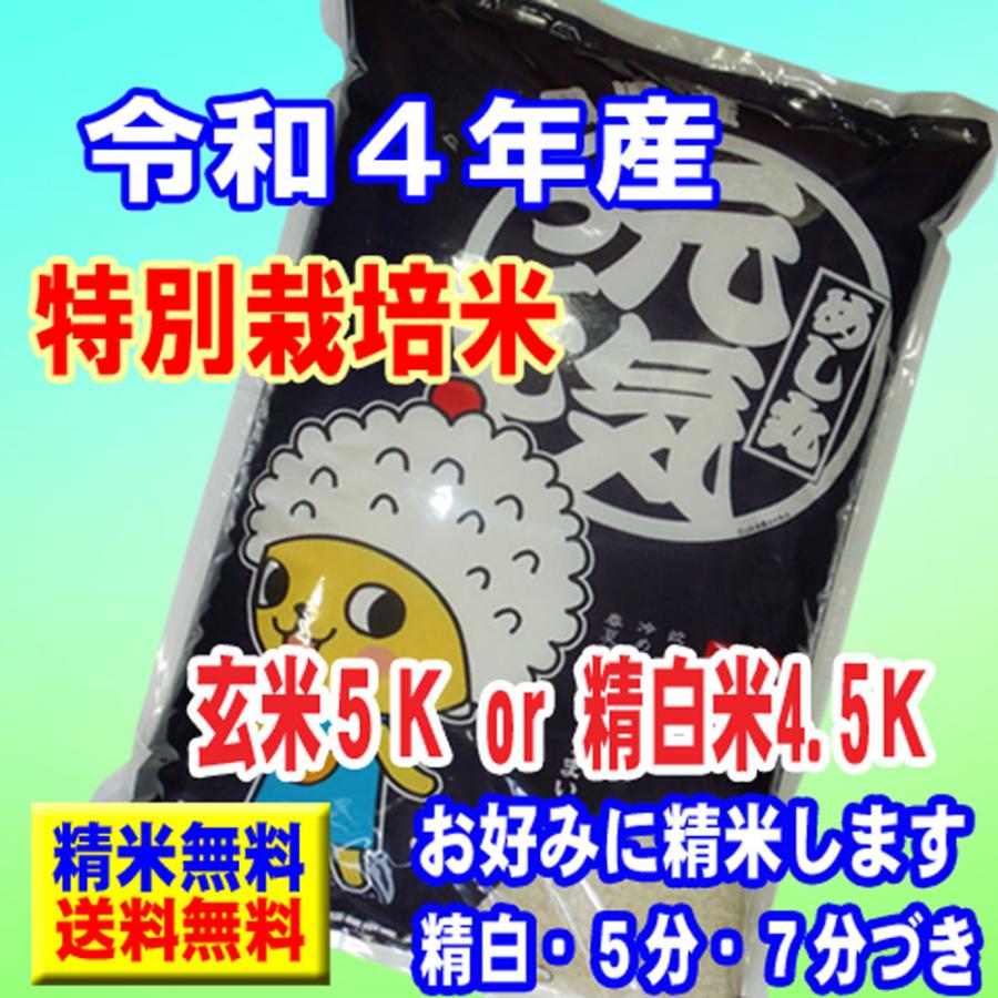 新米 令和5年産 特別栽培米 5kg 福岡県産 元気つくし 玄米 白米 7分づき 5分づき 3分づき お好みに精米