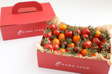 香TOMATO3キロ（OGAWA　FARM）