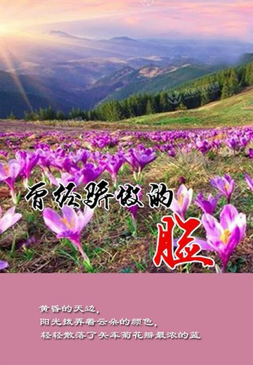 【電子書】曾经骄傲的脸