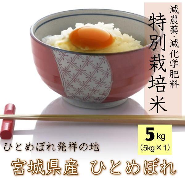 新米 令和5年産 宮城県 登米産 特別栽培米 ひとめぼれ 宮城県認証 玄米 5kg   白米 5kg   無洗米 5kg 要選択 1等米 ※沖縄県送料別途2,000円