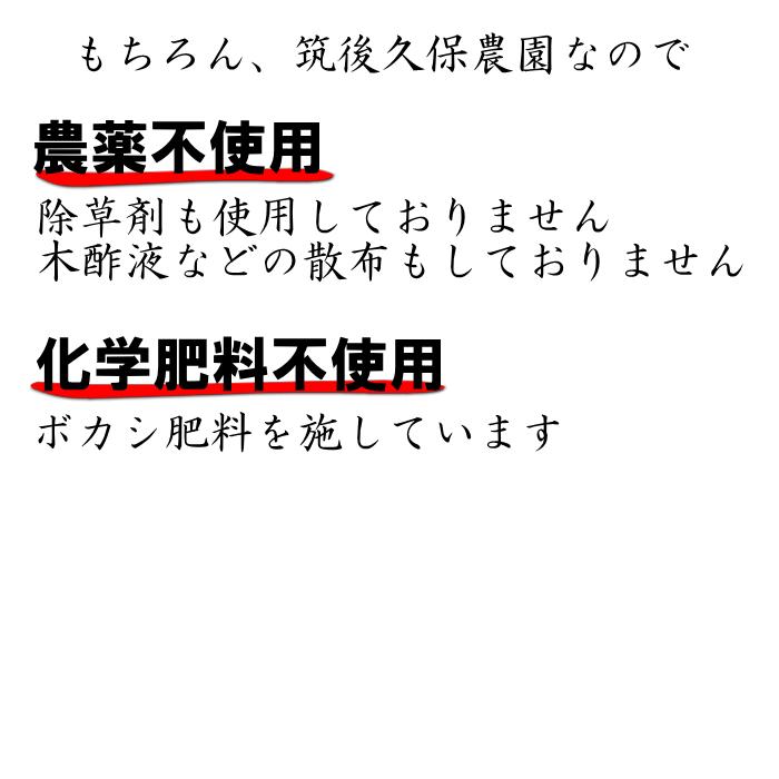 もち麦 450g ポスト投函専用 大麦 くすもち二条 無農薬 福岡県産 国産 1000円 ぽっきり ポイント消化