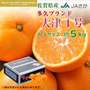 [予約 2023年 12月31日必着] 多久ブランド天山 みかん 約5kg MLサイズ 佐賀県多久市産大津4号 大津 冬ギフト お歳暮 御歳暮 大晦日必着指