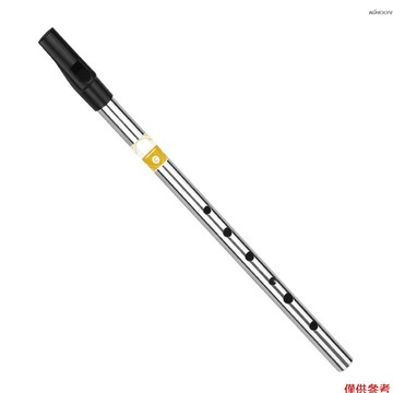 愛爾蘭哨笛 六孔豎笛 C調 高音直笛 初學者入門款 銀色