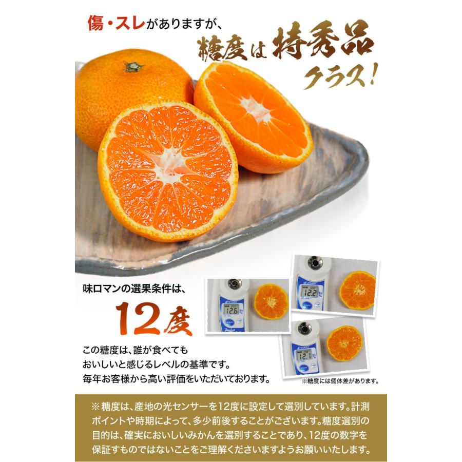 みかん 味ロマン 糖度12度選別 JA長崎せいひ 約2.5kg×2箱 外皮に傷あり (11月出荷：2S-M、12月出荷：S-L) ※常温　送料無料 長崎県 ご自宅用 訳あり