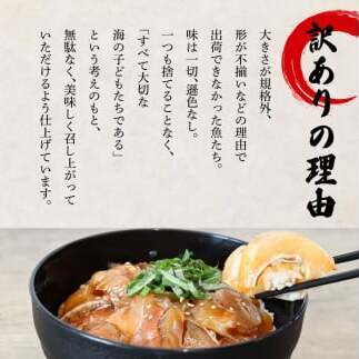 これが魚屋の漬け丼だ！～鯛～ 《訳あり》 ８０ｇ×５P タイ 鯛 たい 漬け丼 漬け どんぶり 丼 5パック 海鮮 魚 真空パック 個食 個包装 冷凍 配送 訳あり 規格外 不揃い