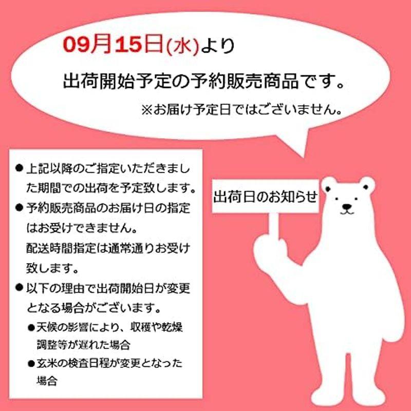 米 環境こだわり農産物 コシヒカリ 玄米 滋賀県近江八幡産 内野営農組合 令和4年産 (白米27kg(9kg×3))