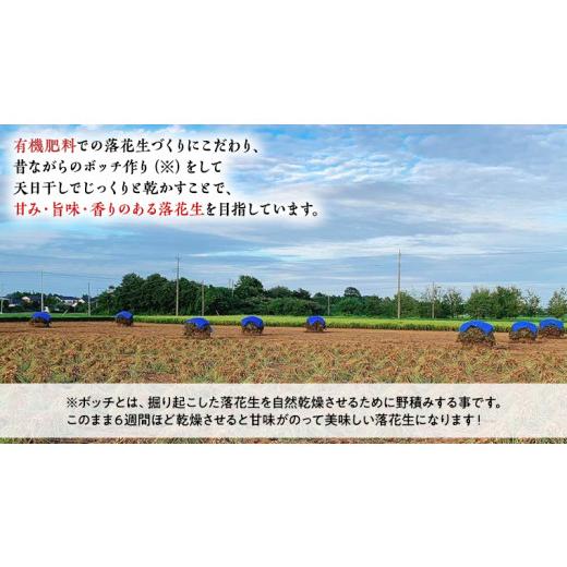 ふるさと納税 茨城県 牛久市 牛久産 落花生 大小 4袋 詰合せ ピーナッツ ピーナツ ナカテユタカ 中手豊 甘い 美味しい おいしい おやつ お菓子 ビールのお供 …