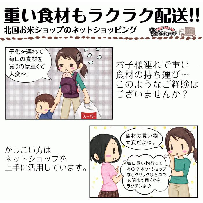 新米 令和5年産 あきたこまち 10kg お米 白米 精米 国産 岩手県産 送料無料