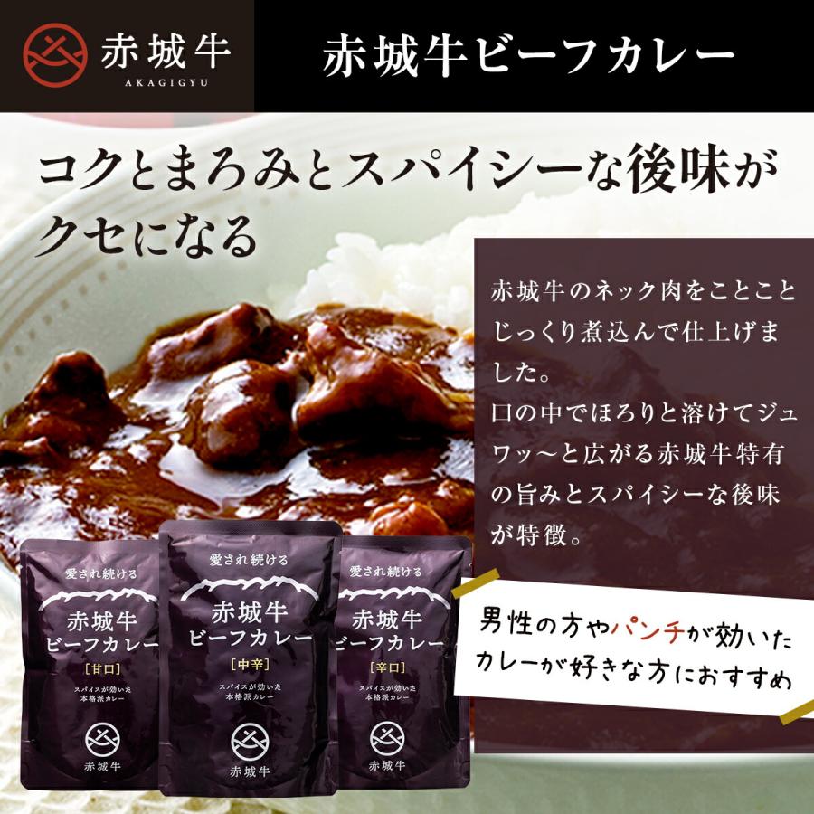 ギフト 2023 レトルト カレー 赤城牛 ビーフカレー 選べる 5個 セット 甘口 中辛 辛口 詰め合わせ 送料無料