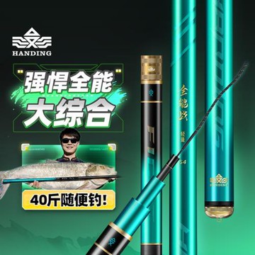 漢鼎全能戰魚竿臺釣竿3.6-10米加硬版竿稍