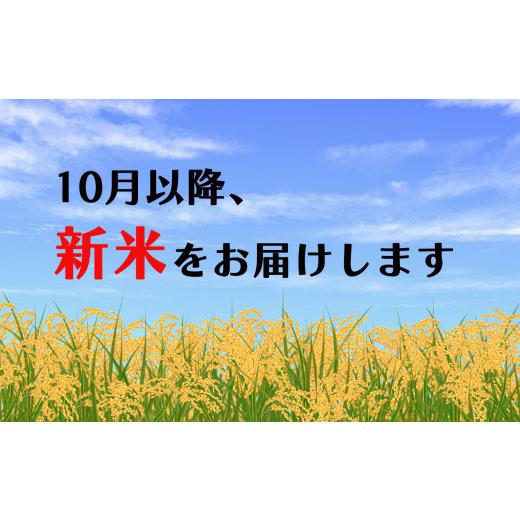 ふるさと納税 熊本県 玉名市 「ひのひかり」「にこまる」食べ比べセット（各5kg）