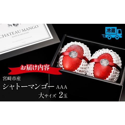 ふるさと納税 宮崎県 宮崎市 《2024年発送先行予約》期間・数量限定 シャトーマンゴー(大) AAA 2玉_M126-009