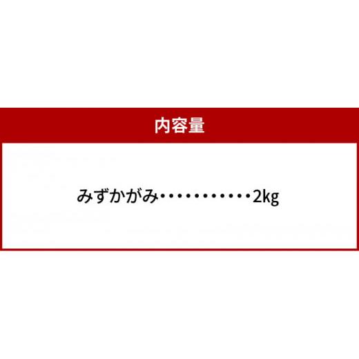 ふるさと納税 滋賀県 守山市 肥料屋厳選近江米みずかがみ２kg