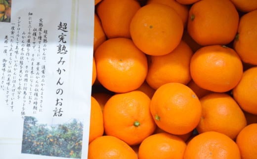 有田産樹上越冬完熟みかん5kg（2S～Mサイズ混合・赤秀）