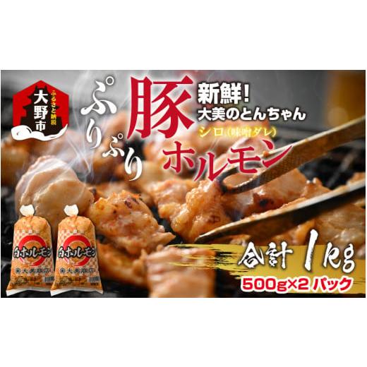 ふるさと納税 福井県 大野市 大美のとんちゃん（白）豚ホルモン シロ 味噌ダレ 1kg（500g×2パック）