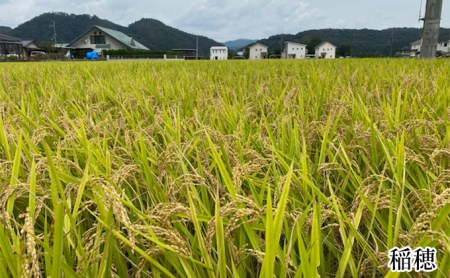 兵庫県佐用町産 お米 5kg×6ヵ月（計30kg）キヌヒカリ 精米