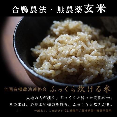 無農薬玄米5kg（合鴨農法・山形産）（東北〜関東まで送料無料）