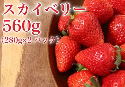 [先行予約] 完熟朝摘み スカイベリー 280g×2パックセット｜ いちご 苺 フルーツ 果物 産地直送 [0409]