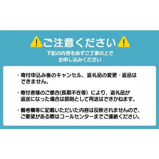 ふるさと納税 北海道 浜頓別町 ほたて 貝柱 大粒 冷凍 500ｇ(20〜25粒前後)×3パック お取り寄せ 刺身  《横田水産》