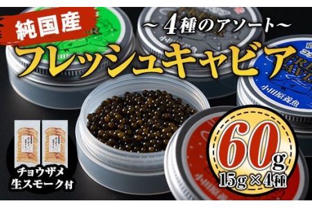 F3-01 純国産フレッシュキャビア(計60g・15g×4種類)＆チョウザメ生スモーク(200g)セット！