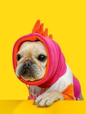 Toof Dino Snood l Pink
