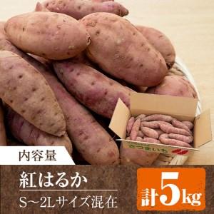 ふるさと納税 飯尾農園の「熟成」紅はるか　約5kg_miio-874 鹿児島県長島町