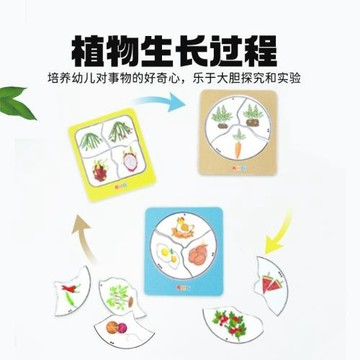 【布好玩_它從哪里來】幼兒園科學區角水果科普兒童益智早教玩具