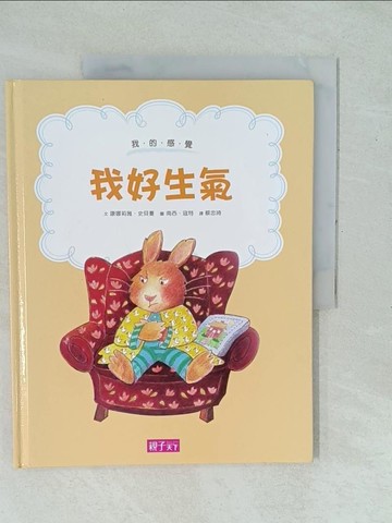 【書寶二手書T1／少年童書_YYK】我的感覺：我好生氣(30萬冊紀念版)_康娜莉雅．史貝蔓,  蔡忠琦等