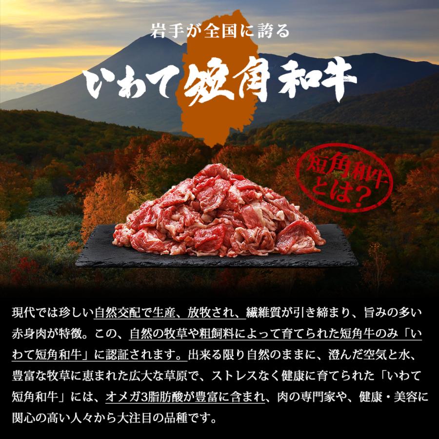 肉 牛肉 和牛 切り落とし 国産 岩手県産 いわて短角和牛 500g 250g×2パック 短角牛