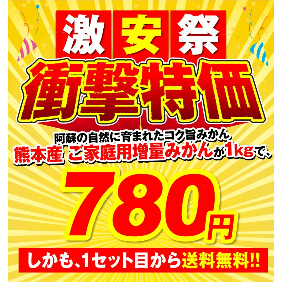 みかん 熊本みかん 1kg ご家庭用 熊本産 送料無料 2セット目から増量あり S〜2L混合 増量特典 ポイント消化 フルーツ 果物 国華園