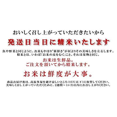 千葉県産 無洗米 ミルキークイーン 10kg [5kg×2] 令和5年産 向後米穀